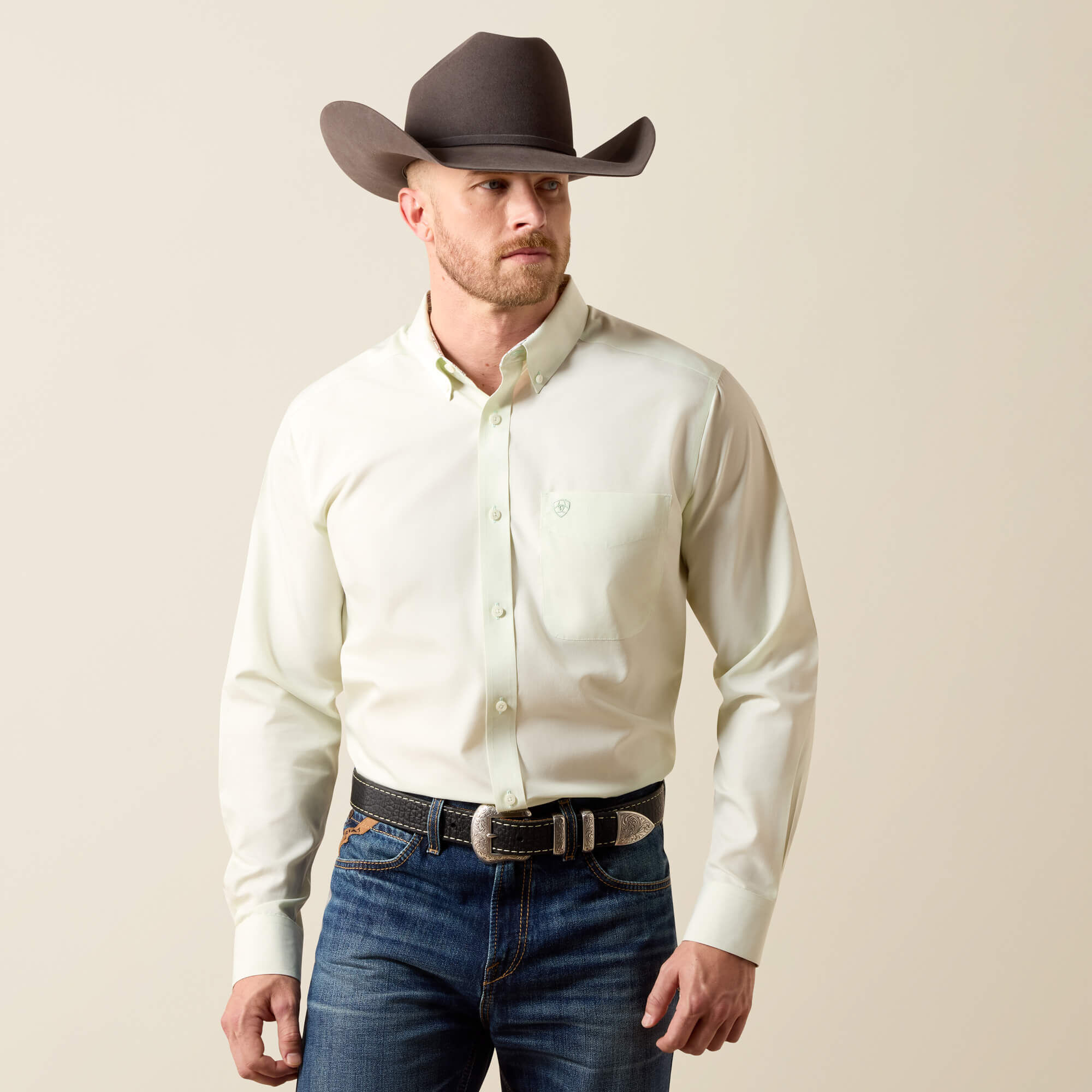 Wrinkle Free Solid Fitted Shirt